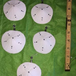 Beach sand dollar Christmas ornaments